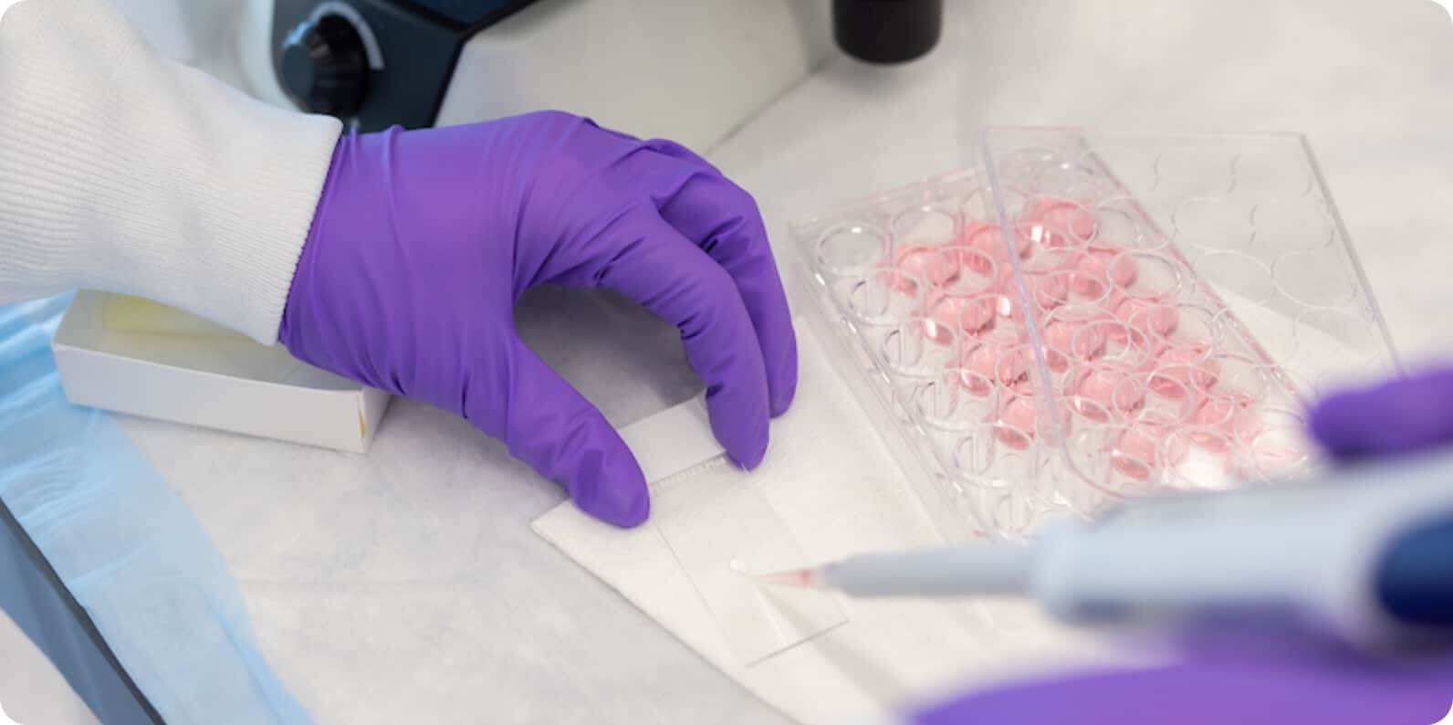 Lyell lab employees measuring cell activity