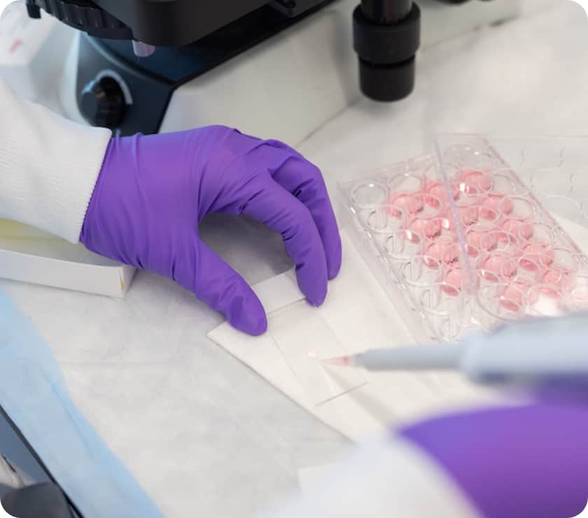 Lyell lab employees measuring cell activity