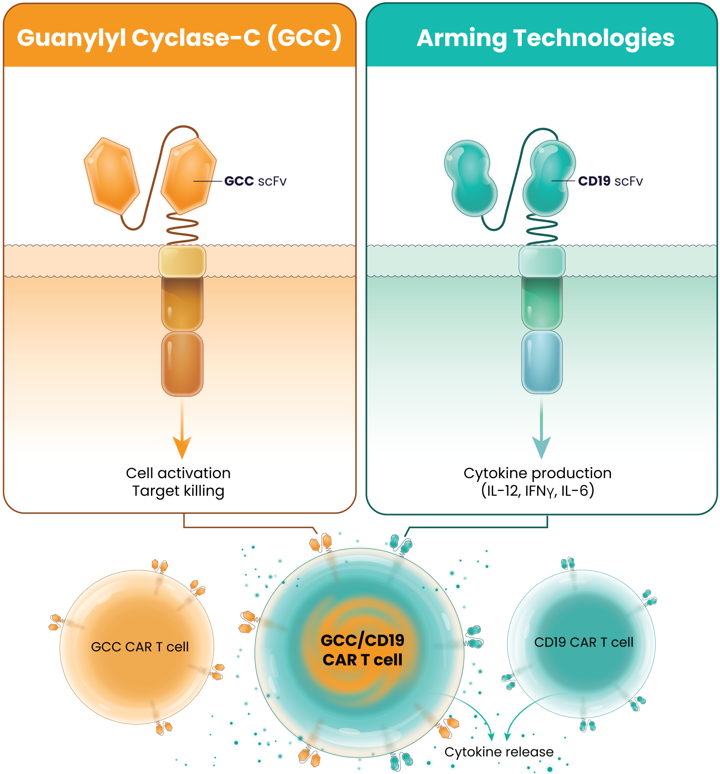 lyell gcc constructs v202